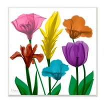 Stupell Industries Bold Rainbow Spring Flowers Translucent Floral Botanical & Floral Photography Unframed Art Print Wall Art, 12 x 12