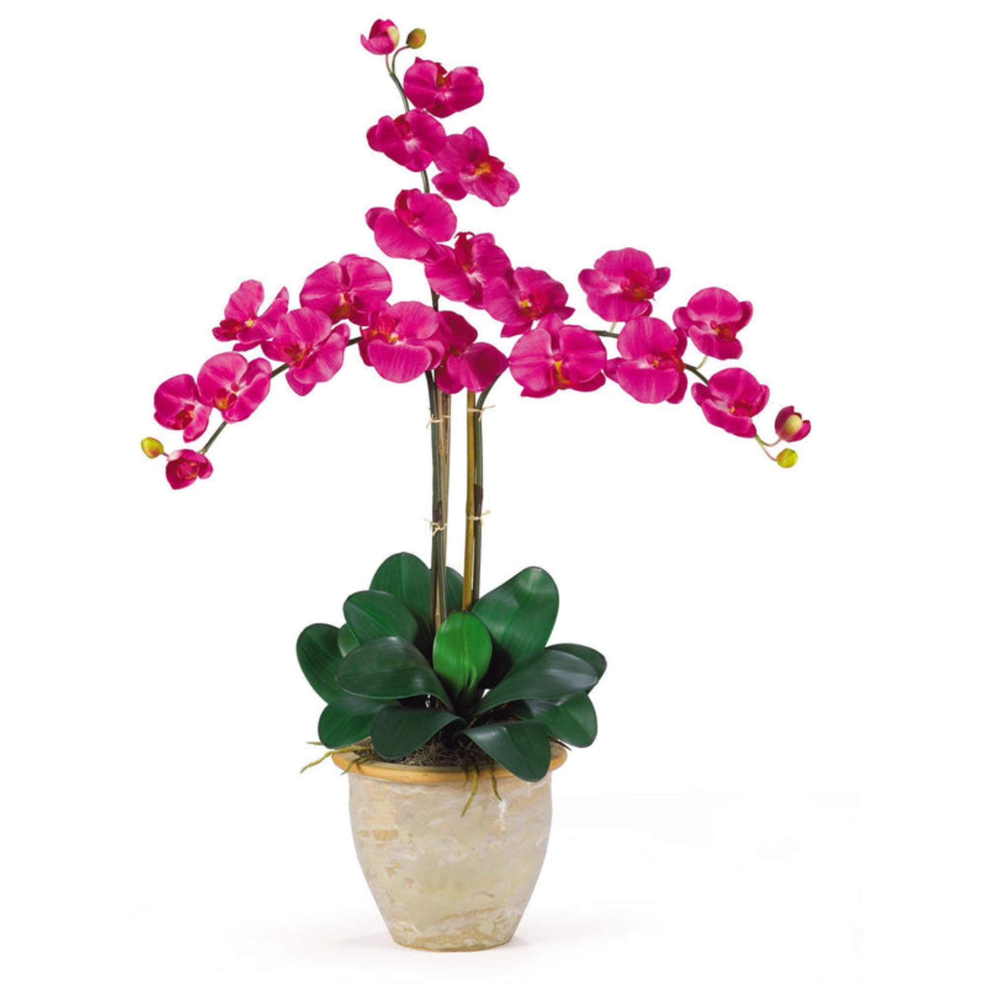 Decorative Natural Looking Artificial Beauty Phalaenopsis 12 Stems Silk Plants 