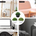 thumbnail image 5 of Mini artificial plants | Modern farmhouse plant Home decor | Small artificial plants, 5 of 5