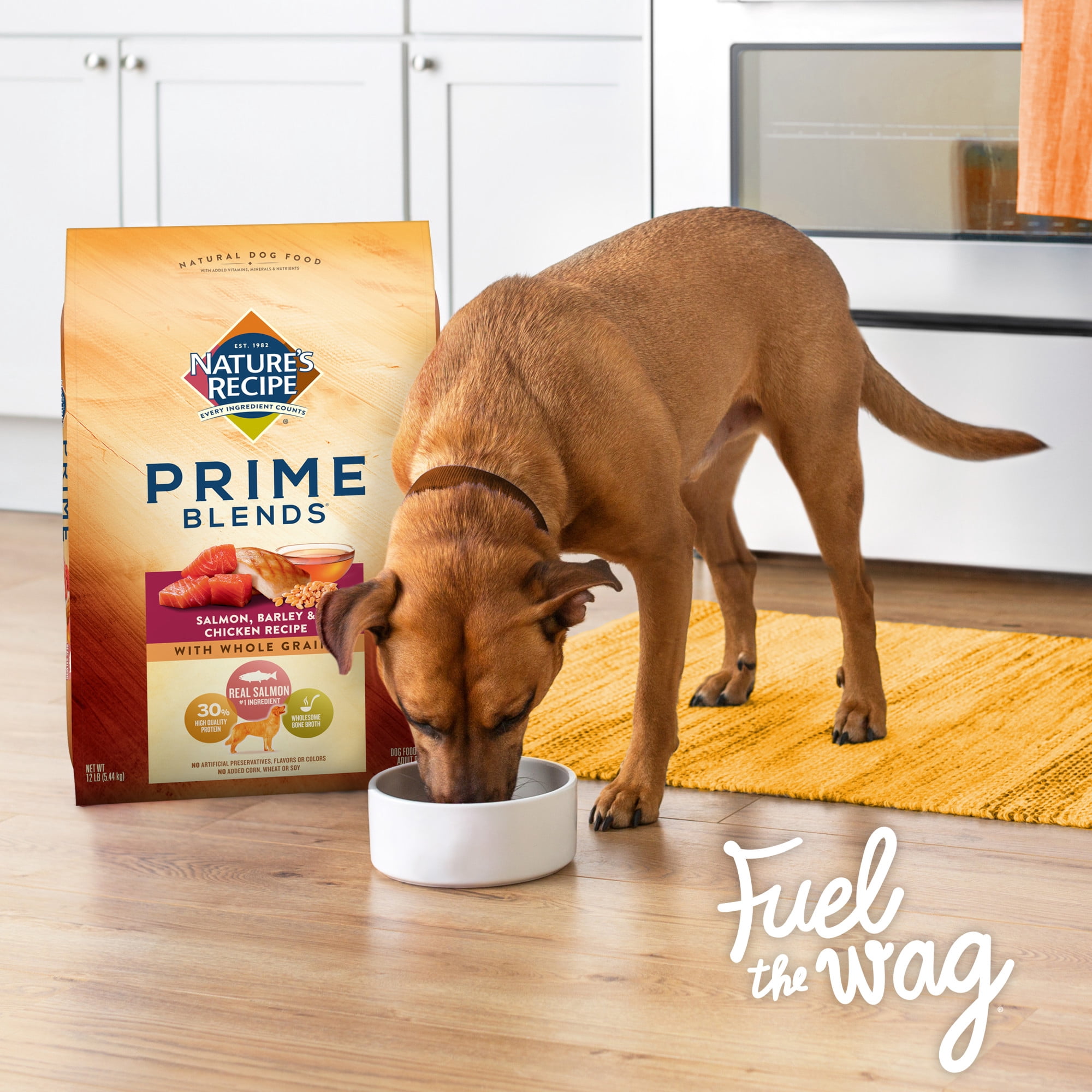 Nature’s Recipe Prime Blends Dry Dog Food, Salmon, Barley & Chicken Recipe, 12-Pound Bag