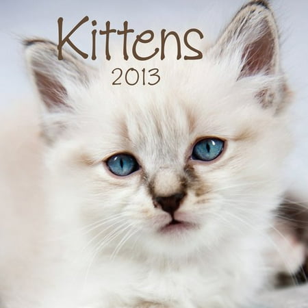 DaySpring "Kittens" 2013 Wall Calendar
