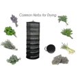 thumbnail image 4 of Layers Drying Net For Herbs Hanging Basket Folding Dry Rack Herb Drying Net Dryer Bag Mesh For Flowers Buds Plants Organizer, 4 of 5