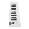thumbnail image 1 of Controlador De Teclado MIDI, Teclado MIDI 1 Perilla Asignable Amplia Compatibilidad Para Producción Musical, 1 of 7
