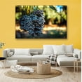 thumbnail image 2 of Cuadro Pixtreats Canva Cosecha De Uvas 40X60 cm, 2 of 4