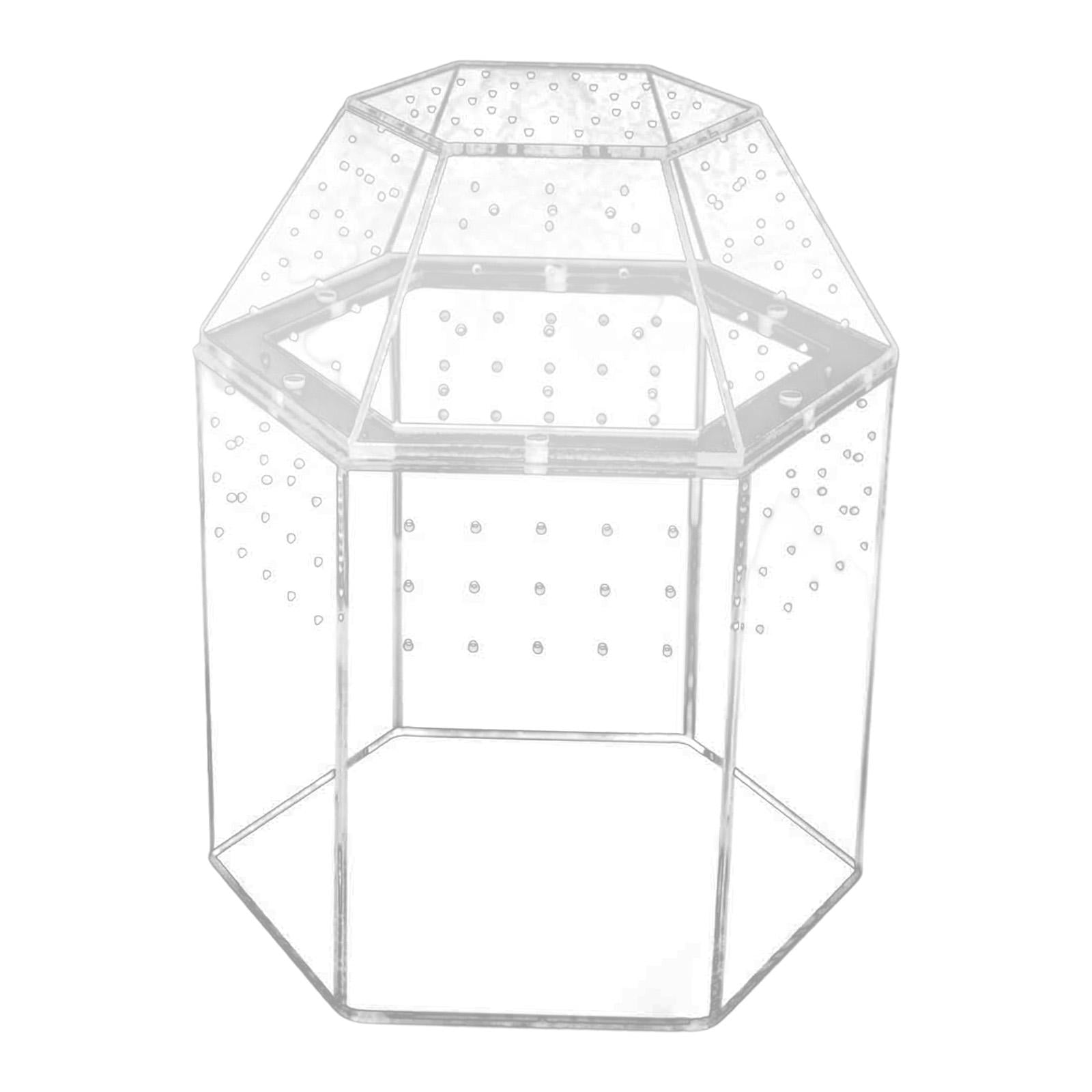 Small Reptile Terrarium Spider Box Vertical Tarantula Enclosure Acrylic Material for Classroom Display and Home Decor