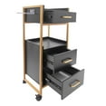thumbnail image 3 of Mobile Salon Trolley Cart with 3 Drawers & Dryer Holder Hairstylist Storage Cart, 3 of 6
