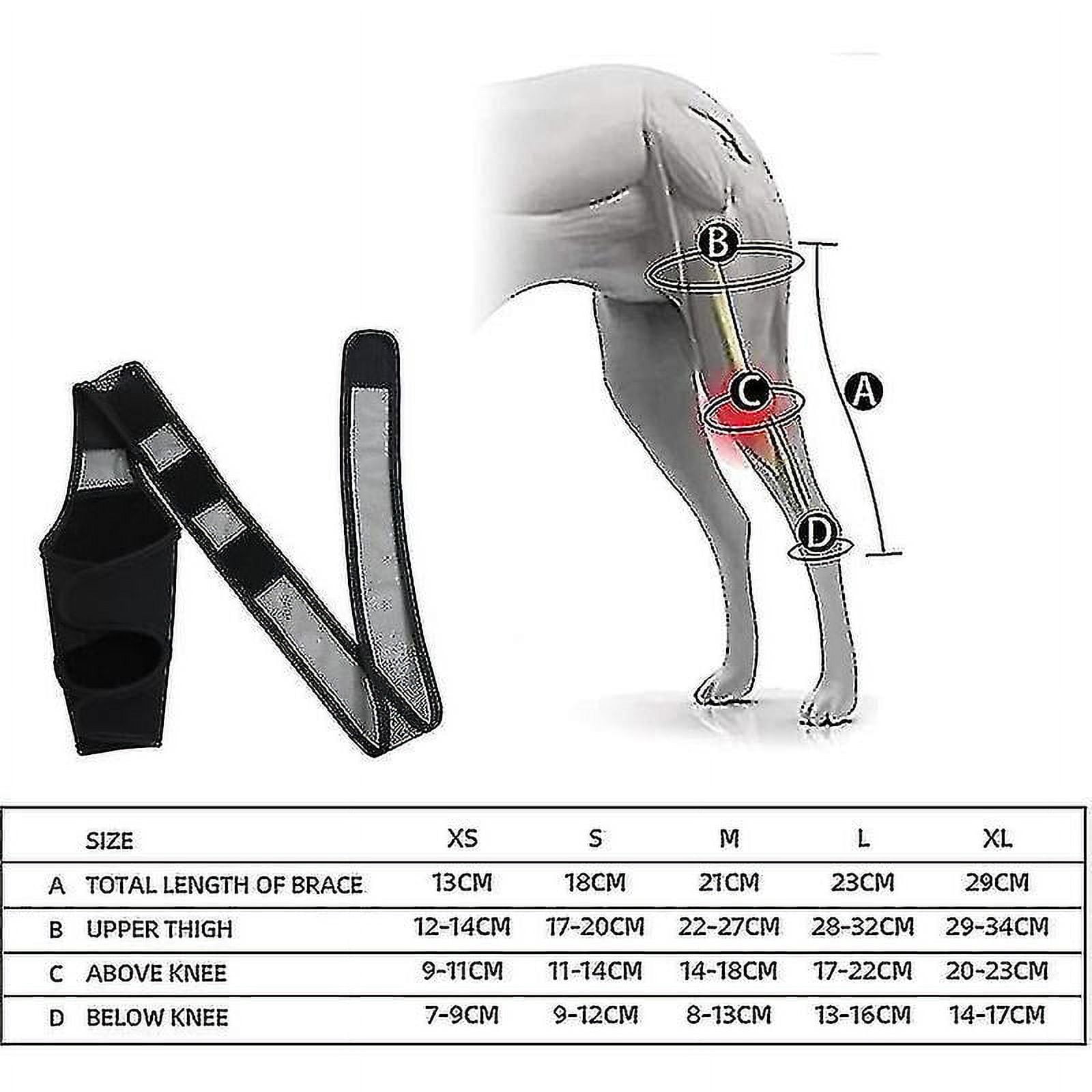 Ekiwen Dog Knee Brace Dog Injuries Leg Brace For Luxating Patella Better Recovery Adjustable Rear Leg Braces For Dogs