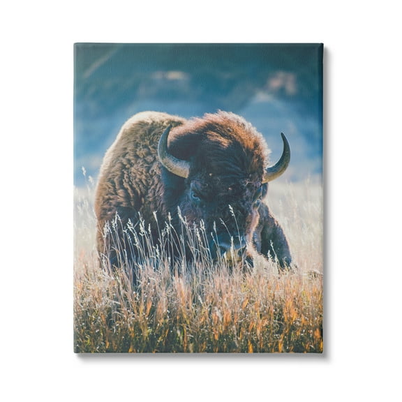 Stupell Industries Bison in Meadow Photography Animals & Insects Photography Gallery Wrapped Canvas Print Wall Art, 16 x 20