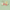 Green / Orange, variant on Gerber Baby Neutral 6-Piece Gift Set, Sizes Newborn - 3/6 Months