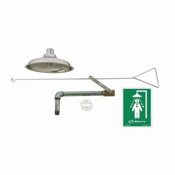 Haws 8169 Flush To Ceiling Drench Shower - Stainless Steel