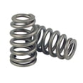 thumbnail image 1 of Comp Cams 26915-16 Ressort de Valve, 1 of 2