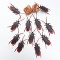 thumbnail image 3 of LIWEN 20Pcs/Set Fake Roaches Novelty Real-looking Long Lasting Favorite Trick Joke Cockroaches Toys for Halloween, 3 of 8