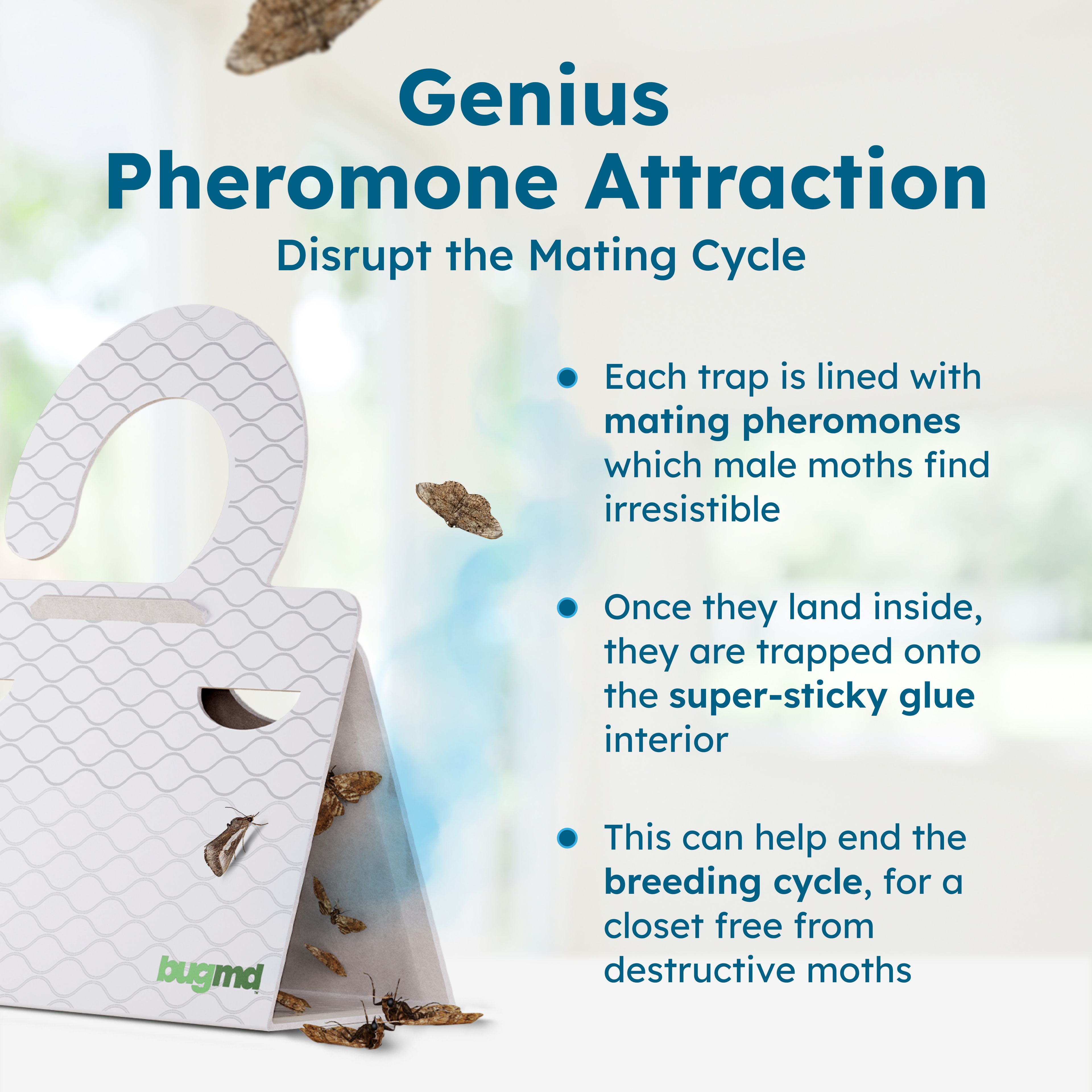 BugMD Clothes & Pantry Moth Traps (6 Count) – Sticky Glue Pheromone-Based Repellent for Closets, Cabinets & Wardrobes – Non-Toxic - White