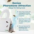 thumbnail image 3 of BugMD Clothes & Pantry Moth Traps (6 Count) – Sticky Glue Pheromone-Based Repellent for Closets, Cabinets & Wardrobes – Non-Toxic - White, 3 of 7