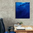 thumbnail image 3 of Epic Graffiti 'Humpback Song' by Robert Campbell, Canvas Wall Art, 26"x30", 3 of 8