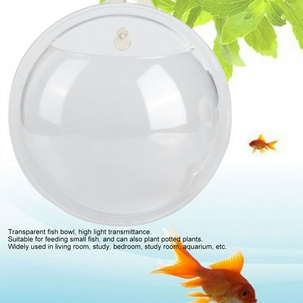 Wall mounted sales goldfish bowl