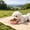 B, variant on Cififendec Collapsible Slow Feeder Pet Bowl, 5", Portable Silicone Travel Water Food Dish with Carabiner for Dog Cat Outdoor Walking Hiking Use