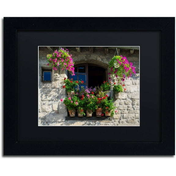 Trademark Fine Art "Window Dressing" Canvas Art by Michael Blanchette Photography Black Matte, Black Frame