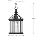 thumbnail image 2 of Dillard Collection One-Light Traditional Textured Black Clear Glass Outdoor Hanging Light, 2 of 2