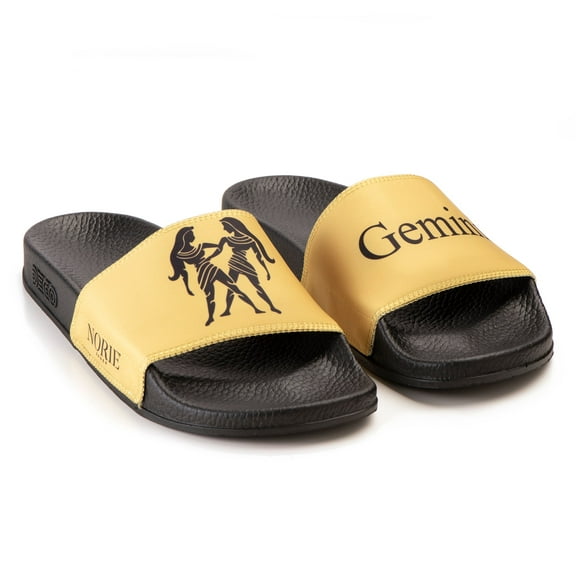 Gemini Zodiac Slides