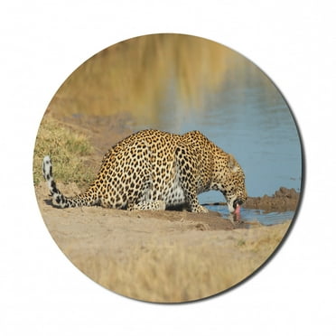 Safari Mouse Pad for Computers, Leopard Panther Drinking at Waterhole Wild South Animal Documentary Print, Round Non-Slip Thick Rubber Modern Gaming Mousepad, 8" Round, Pale Brown, by Ambesonne