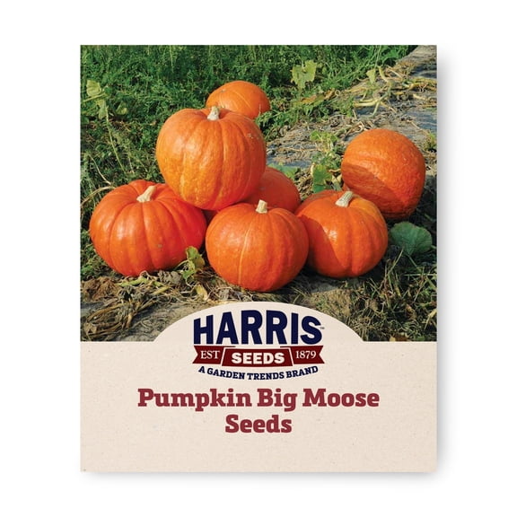 Harris Seeds - Pumpkin Big Moose, Non-GMO Large Vines Medium Red-Orange Vegetable Seeds for Planting