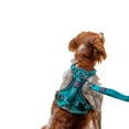 thumbnail image 2 of Halti Anatomy Dog Harness, 2 of 3
