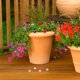 thumbnail image 4 of SHOWERORO 400Ud Clips De Plástico Para Injerto Y Soporte De Plantas En Y Vivero, 4 of 8