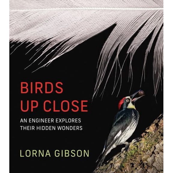 Birds Up Close: An Engineer Explores Their Hidden Wonders