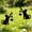 Cat, variant on Solar Outdoor Lights with Fairies,for Outdoor Decor Patio decor, Weatherproof Solar Light 2PCAK