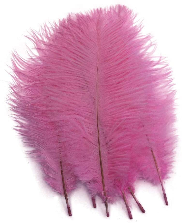 Beautiful 10-100pcs High quality male ostrich feathers 10-12inches/25-30cm 