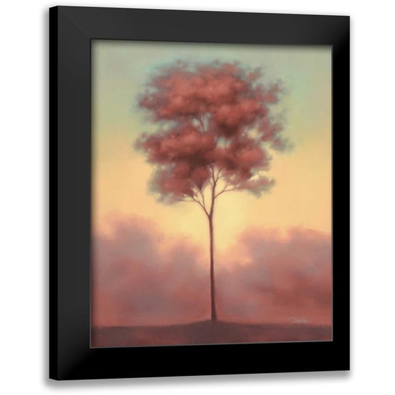 Gams, Darlou 12x14 Black Modern Framed Museum Art Print Titled - Solitude II