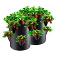 thumbnail image 6 of RuiJiao Strawberry Garden Planting Pots, Strawberry P-lanters Outdoor, Fabric Portable Garden Planting Pots for Fruits Herbs, 6 Hole 7 Gallons Breathable Plant Growing Bags, 6 of 9