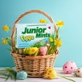 thumbnail image 3 of Junior Mints Easter Eggs Candy 3.5oz Creamy Egg Mints in Dark Chocolate for Snacks Easter Candy Theater Gift Boxes Easter Egg Hunts Basket Stuffer Goodies Bag Filler and Birthday Party Favor Pack of 2, 3 of 5