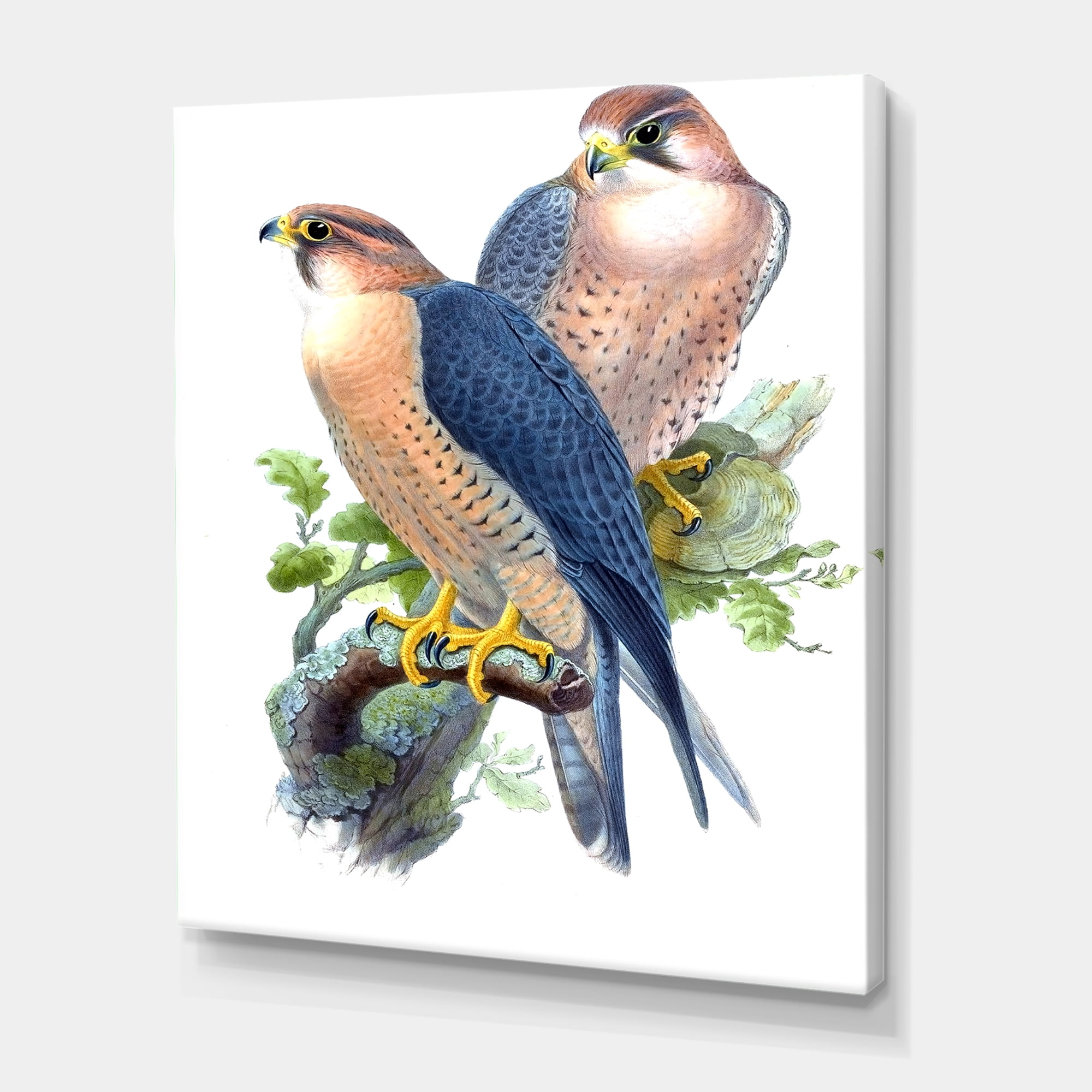Designart ' Ancient Birds II ' Traditional Canvas Wall Art Print