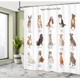 thumbnail image 5 of Ambesonne Colorful Shower Curtain, Puppy Breeds Family, 69"Wx70"L, Multicolor, 5 of 5