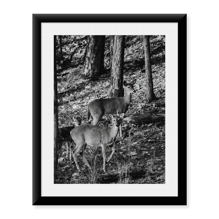 Framed Art Print, Deer Trio by Dakota Diener, 17-7/8" x 21-7/8"