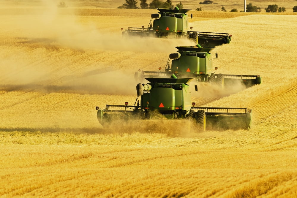 Paplow Harvesting C
