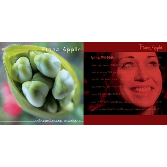 Extraordinary Machine & When The Pawn [CD Bundle]