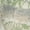 Realtree EDGE, variant on x Realtree Heavyweight Boxy Fit Tee, Sizes XS-5XB