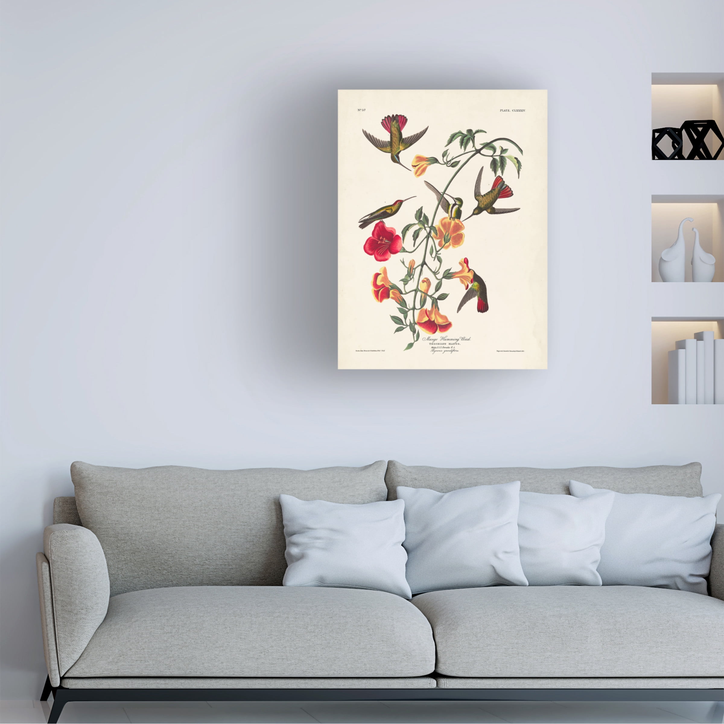 John James Audubon 'Mango Hummingbird' Canvas Art