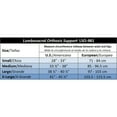 ITA-MED Back Support Lumbo-Sacral Orthosis (Chair Back): LSO-981 ...