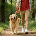 thumbnail image 4 of BotaniNest Running Towing Rope Six In One Leash Escape Nylon Belt, 4 of 5