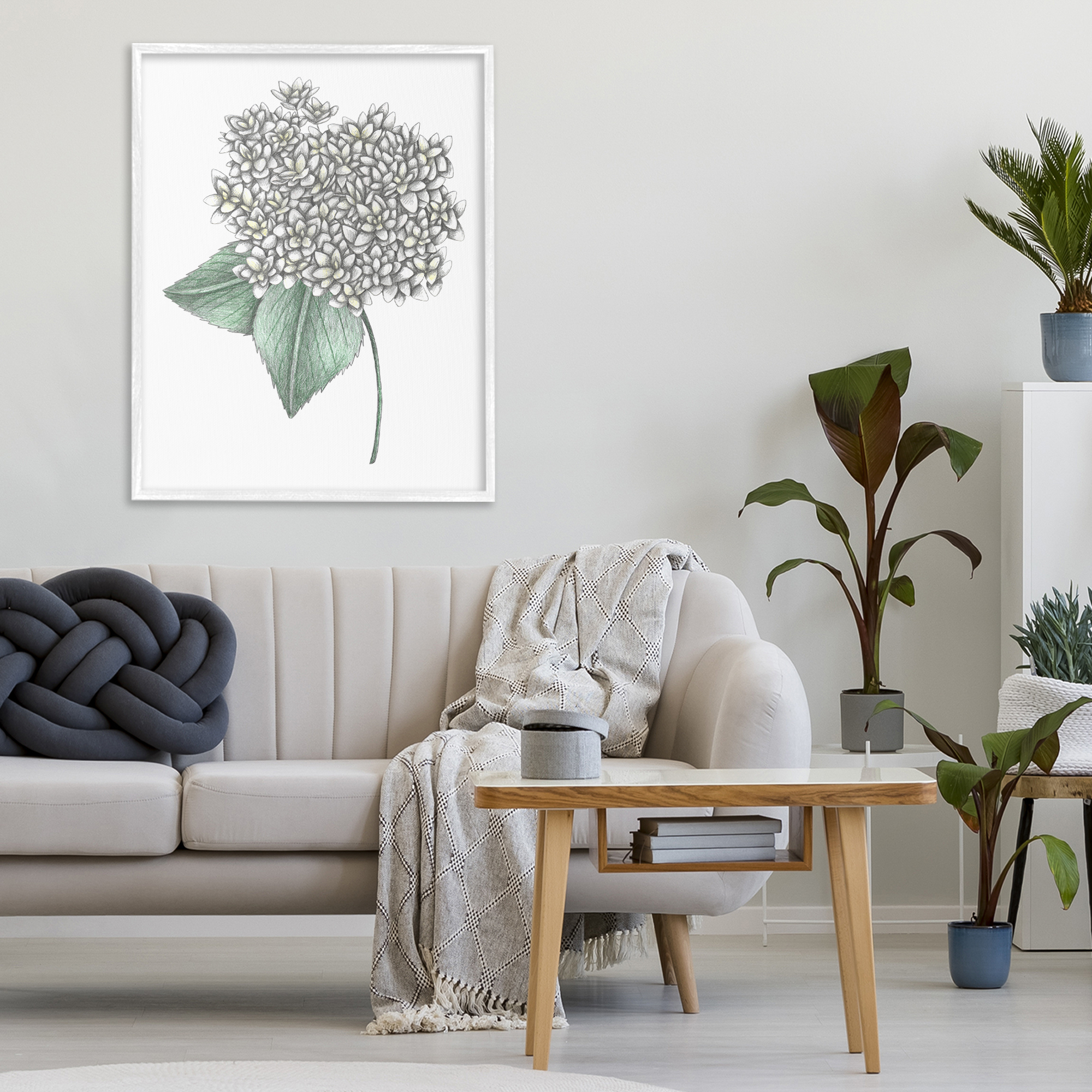 White Hydrangea Sketch Blossom White Framed Giclee Art, design by Cecilia Battaini