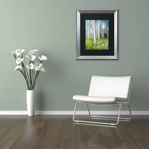 Trademark Fine Art "Aspen Impression" Canvas Art by Michael Blanchette Photography Black Matte, Silver Frame