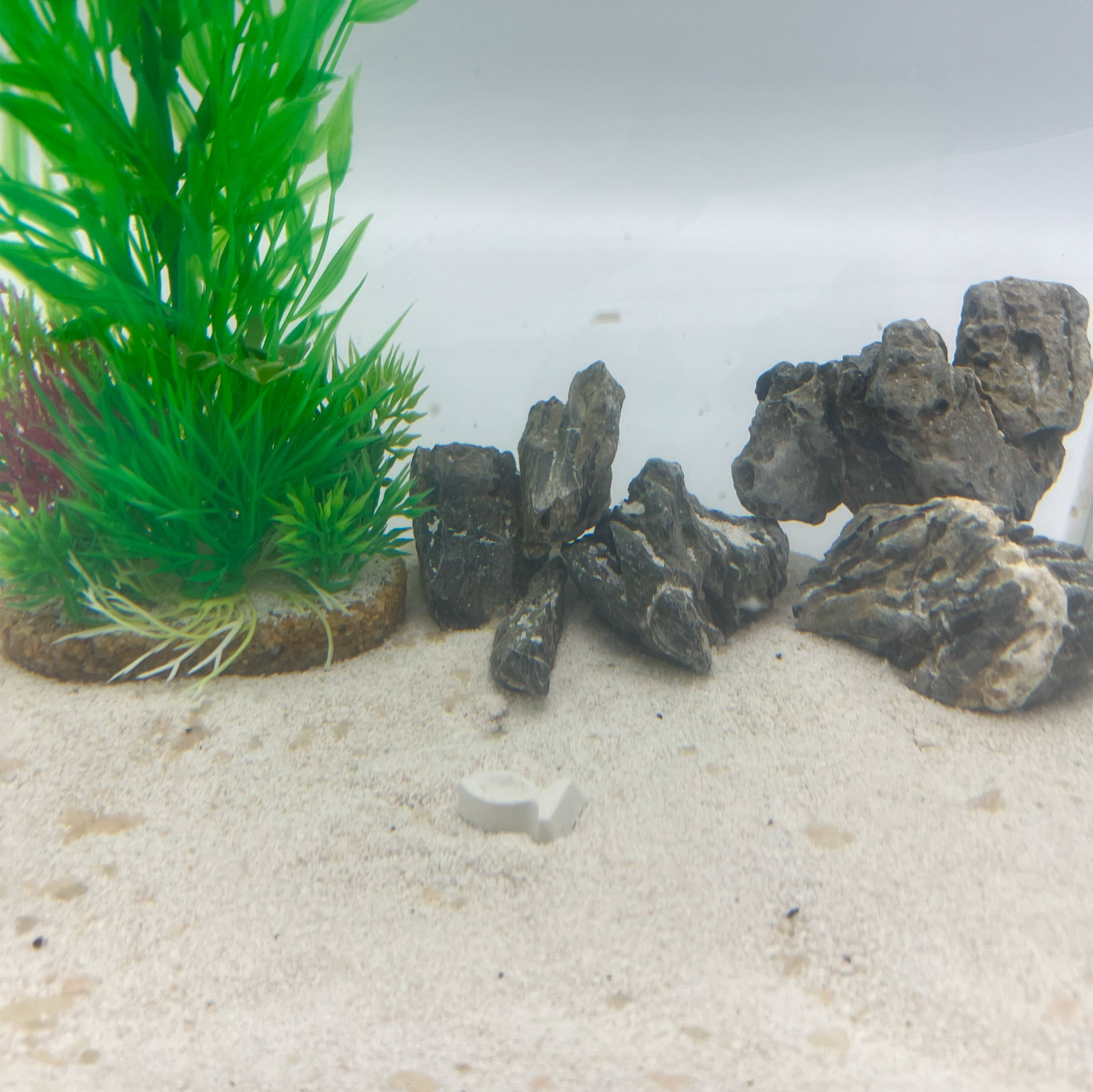 Penn-Plax Betta Vacation Feeder - 7 Day Tablet Fish Food for Weekend Getaways - 6 per 1 Pack Small