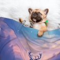thumbnail image 3 of Yiaed Night Sky Elk Print Dog Blankets-Cat Blanket Washable for Couch Protection,Puppy Blanket, Soft Plush Reversible Throw Furniture Protector-Small, 3 of 8
