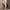 Beige, variant on pgeraug compression socks for women cheap women sheer lace top thigh high lingerie stockings multi-color