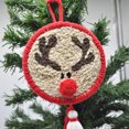 thumbnail image 4 of Punch Needle Starter Kit Creative DIY Punch Needle Embroidery Kit for Christmas, 4 of 8