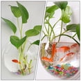 thumbnail image 4 of HAMPPLIES Transparent Acrylic Wall Mounted Fish Bowl Suitable for Plants and Fish Display, 4 of 8